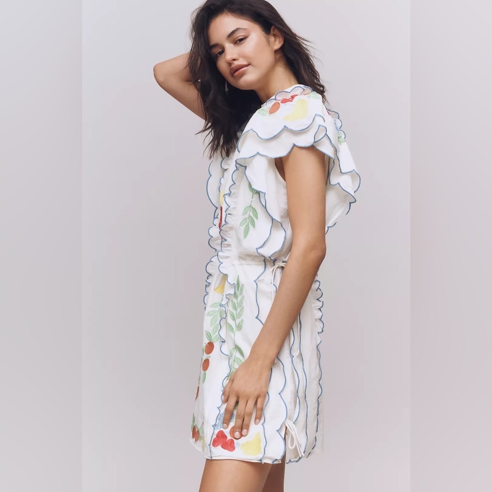 FARM Rio White Mini Dress with Red, Yellow & Green Floral Embroidery - Picture 4 of 9